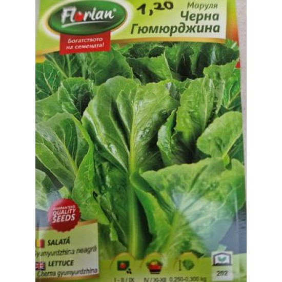 Риган