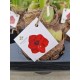 Amaryllis bulbs