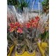 Phalaenopsis Sogo Yellowtris Peloric