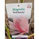 Magnolia Pink Beauty