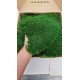 Scandinavian moss 600g Natural Green