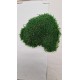 Scandinavian moss 600g Natural Green