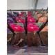 Tree Peony  (Mo Run Jue Lun)