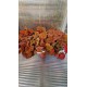 Бегония (Beleaf Amber Love)