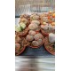 Lithops Spp