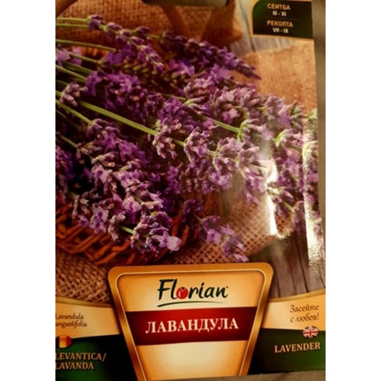 Lavender