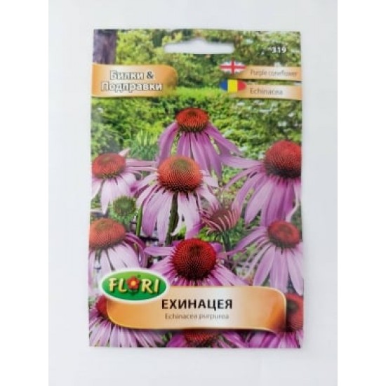 Ехинацея