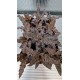 cryptanthus