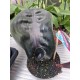 Geogenanthus Ciliatus Midnight Pearl