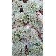 Ешеверия (Echeveria) PR4765