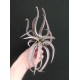 Тиландсия Tillandsia Chiapensis PR5306